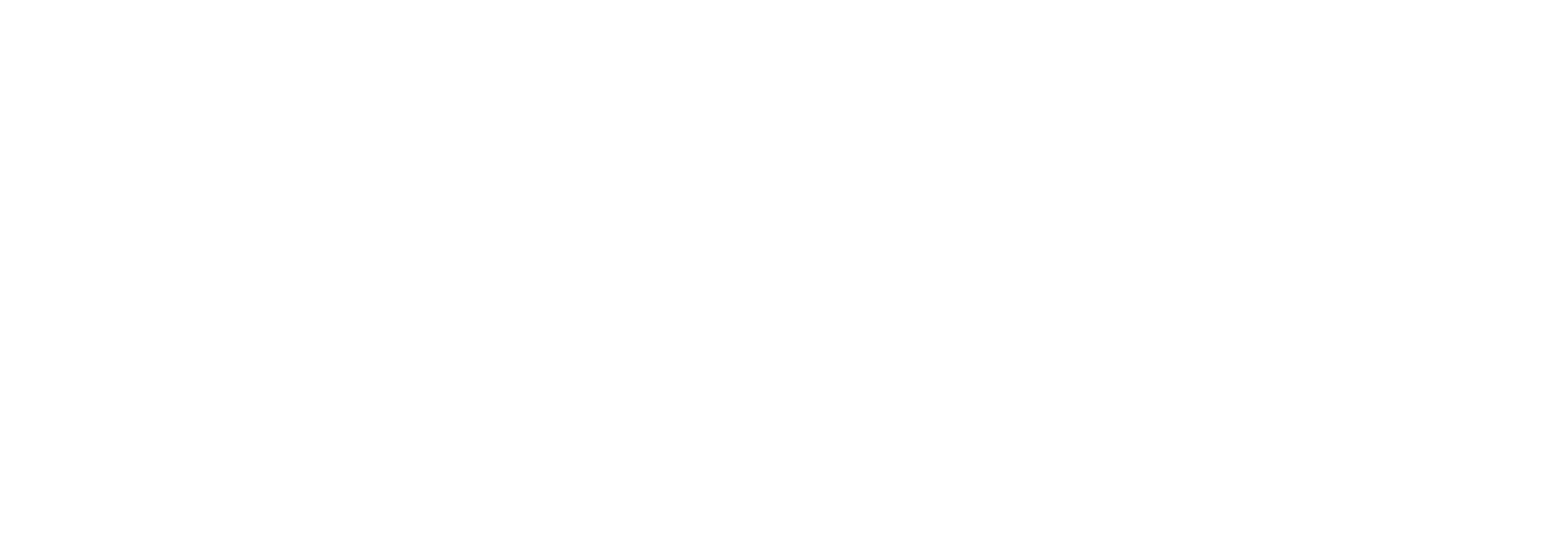 Logo Actual